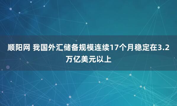 顺阳网 我国外汇储备规模连续17个月稳定在3.2万亿美元以上