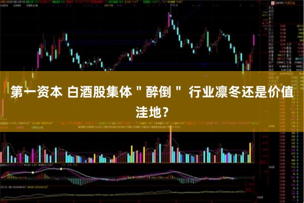 第一资本 白酒股集体＂醉倒＂ 行业凛冬还是价值洼地？
