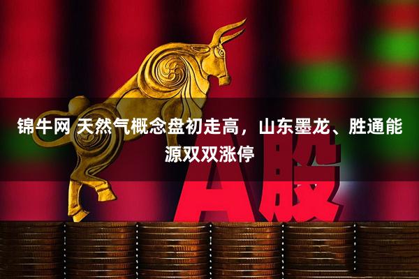 锦牛网 天然气概念盘初走高，山东墨龙、胜通能源双双涨停