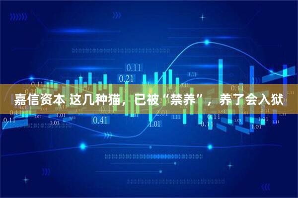 嘉信资本 这几种猫，已被“禁养”，养了会入狱