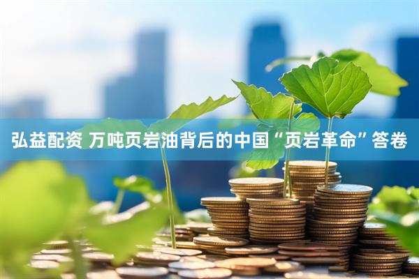 弘益配资 万吨页岩油背后的中国“页岩革命”答卷