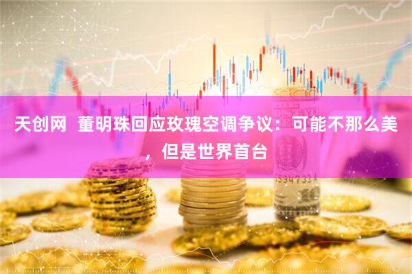 天创网  董明珠回应玫瑰空调争议：可能不那么美，但是世界首台