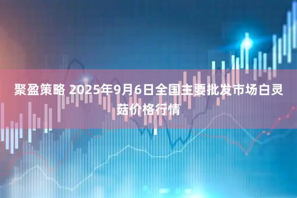 聚盈策略 2025年9月6日全国主要批发市场白灵菇价格行情