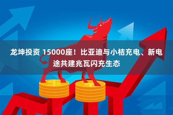 龙坤投资 15000座！比亚迪与小桔充电、新电途共建兆瓦闪充生态