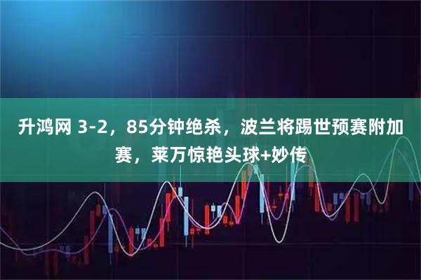 升鸿网 3-2，85分钟绝杀，波兰将踢世预赛附加赛，莱万惊艳头球+妙传