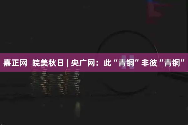 嘉正网  皖美秋日 | 央广网：此“青铜”非彼“青铜”