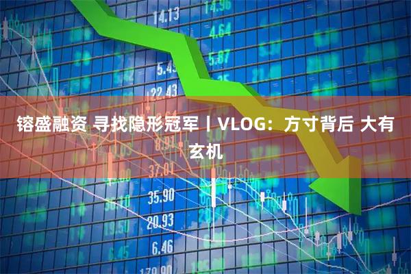 镕盛融资 寻找隐形冠军丨VLOG：方寸背后 大有玄机