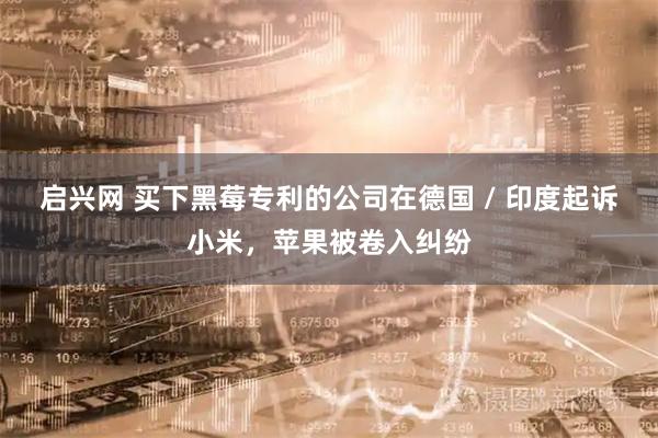 启兴网 买下黑莓专利的公司在德国 / 印度起诉小米，苹果被卷入纠纷